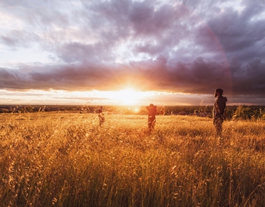 British Columbia Institute of Agrologists (BCIA) website